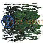 Deep Forest